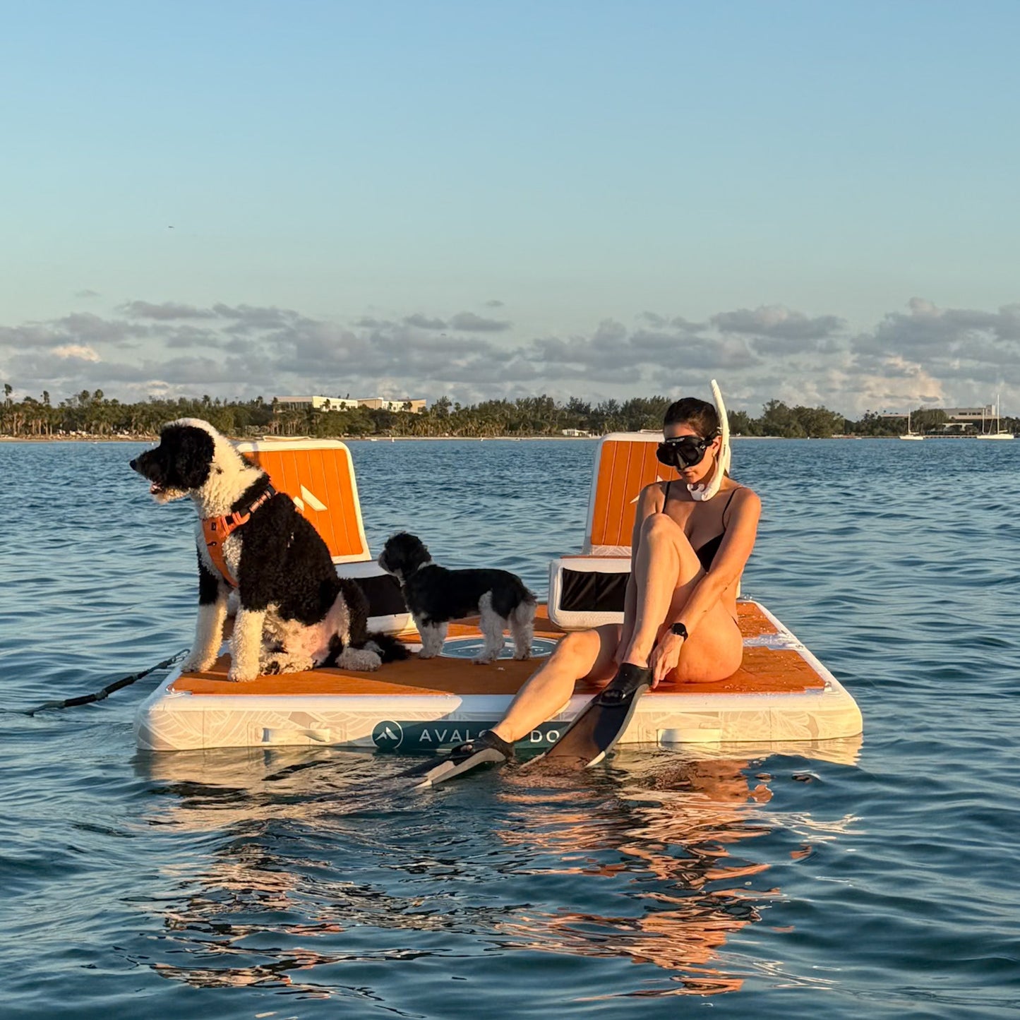 Inflatable Skippers Seat
