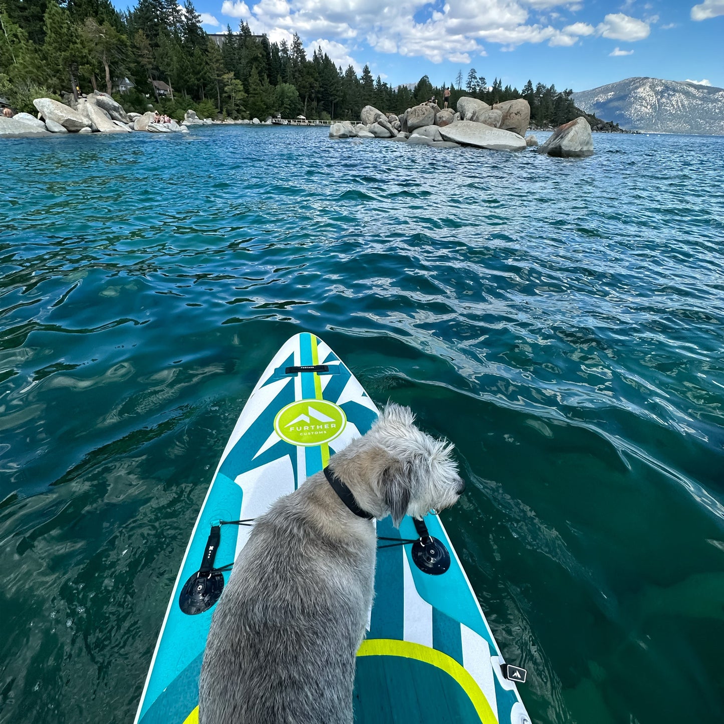 11'3 Podium Turquoise