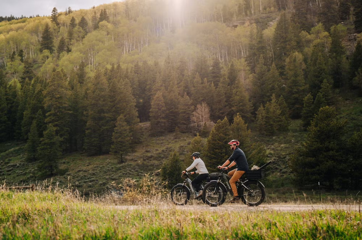 Aventon AVENTURE.2 All Terrain Step-Thru E-Bike